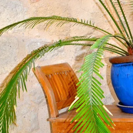 Les Feuilles D'acanthe Hotel Saint-Macaire