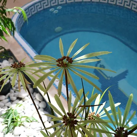 Hotel Les Feuilles D'acanthe 3*